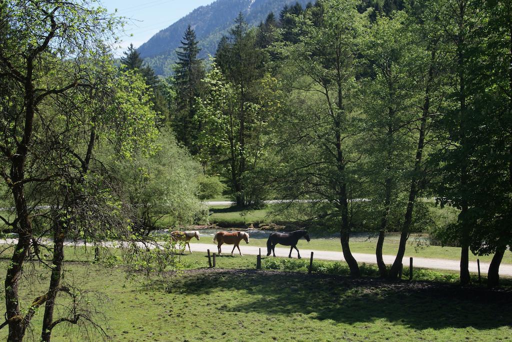 Ferienwohnung Bluntaumuehle Golling an der Salzach Δωμάτιο φωτογραφία