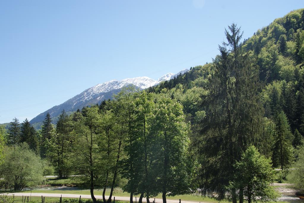 Ferienwohnung Bluntaumuehle Golling an der Salzach Δωμάτιο φωτογραφία