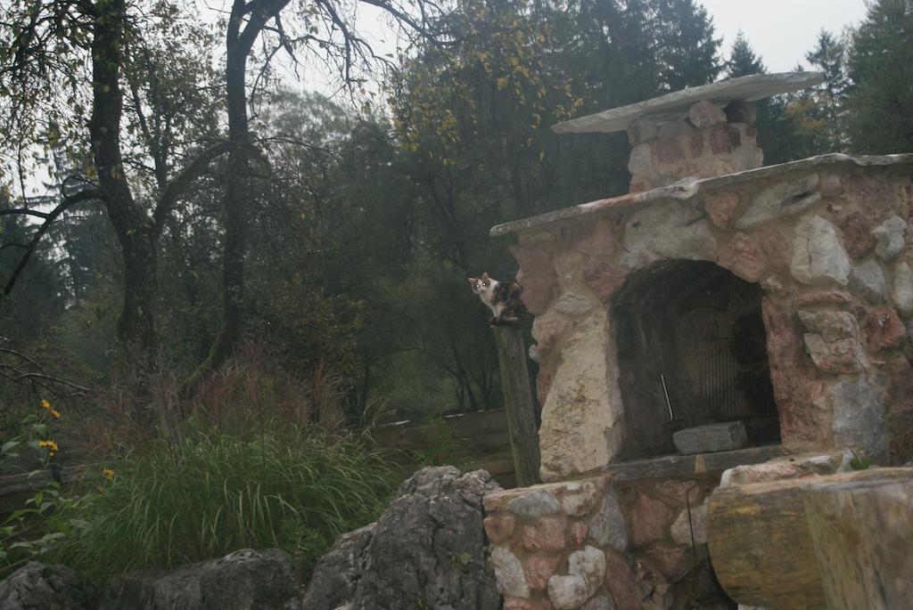 Ferienwohnung Bluntaumuehle Golling an der Salzach Δωμάτιο φωτογραφία