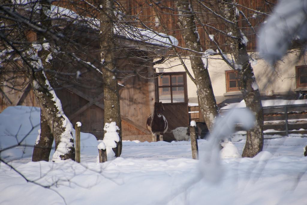 Ferienwohnung Bluntaumuehle Golling an der Salzach Δωμάτιο φωτογραφία
